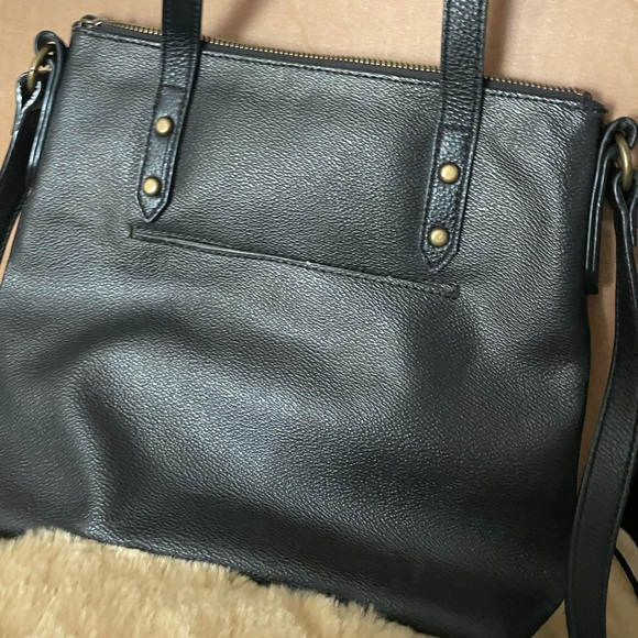 Welcome to the Jungle!  The Sak - Picture 2 of 4